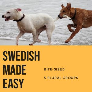 Bite-sized 5 plural groups